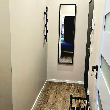 Golden Key 35m2 Aprtament Blisko Dworzec, Spodek, Mck, Self Check-in, Parking Daire Katoviçe