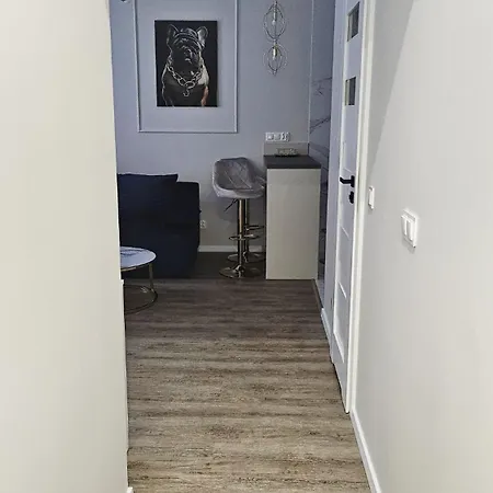 Golden Key 35m2 Aprtament Blisko Dworzec, Spodek, Mck, Self Check-in, Parking * Katoviçe