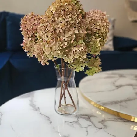 Appartement Golden Key 35m2 Aprtament Blisko Dworzec, Spodek, Mck, Self Check-in, Parking *