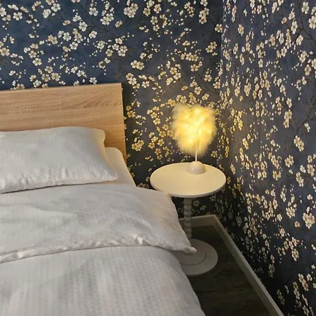 Golden Key 35m2 Aprtament Blisko Dworzec, Spodek, Mck, Self Check-in, Parking Katowice