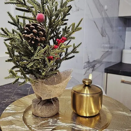 Golden Key 35m2 Aprtament Blisko Dworzec, Spodek, Mck, Self Check-in, Parking Appartement