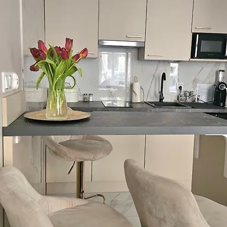 Golden Key 35m2 Aprtament Blisko Dworzec, Spodek, Mck, Self Check-in, Parking *