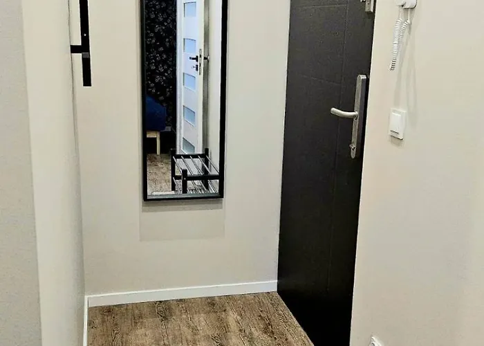 Golden Key 35m2 Aprtament Blisko Dworzec, Spodek, Mck, Self Check-in, Parking