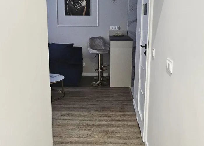 Golden Key 35m2 Aprtament Blisko Dworzec, Spodek, Mck, Self Check-in, Parking * Katowice