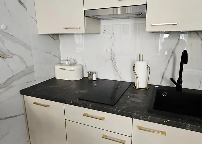 Golden Key 35m2 Aprtament Blisko Dworzec, Spodek, Mck, Self Check-in, Parking Katowice